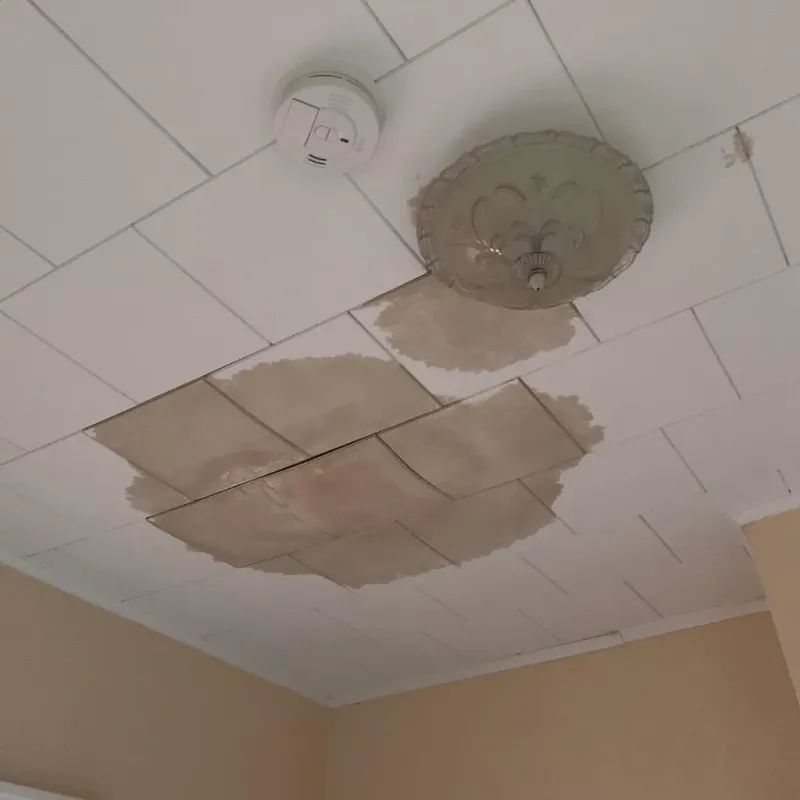 Ceiling Water Damage Repair in Montclair, VA