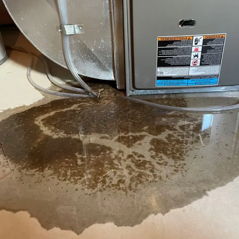 Pipe Burst and Leak Restoration in Montclair, VA