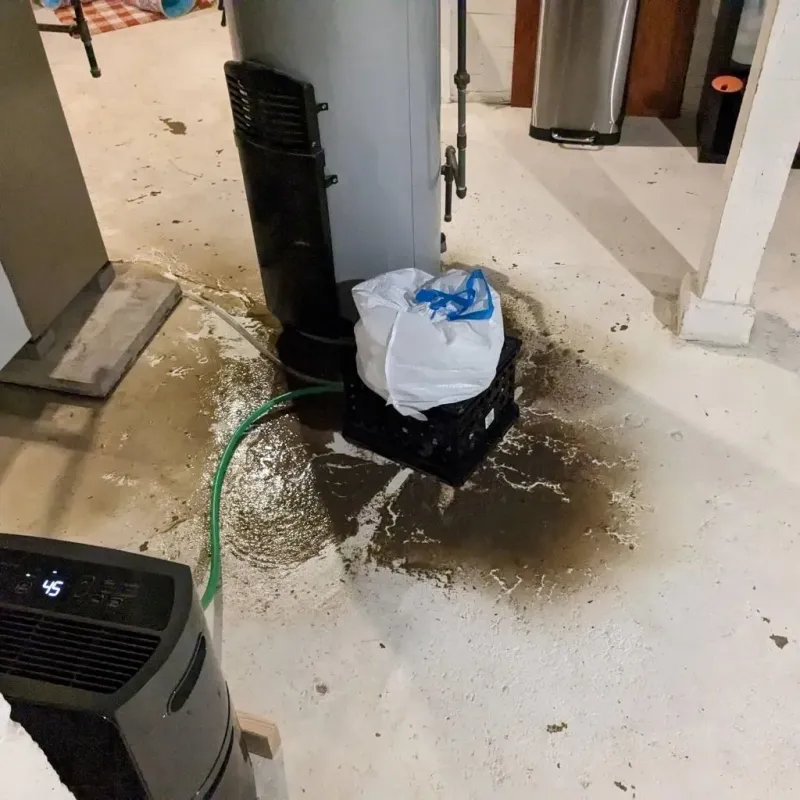 Sewage Backup Cleanup Service in Montclair, VA